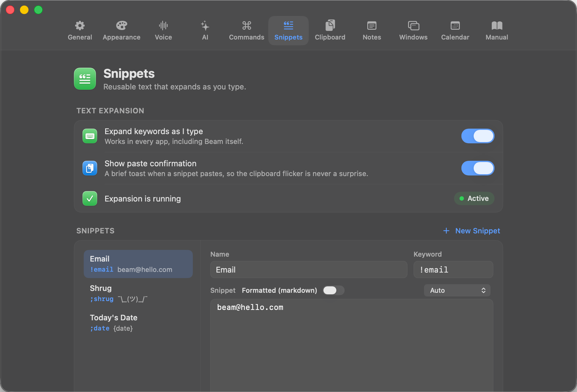 Beam Snippets settings with active text expansion